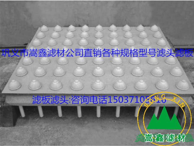 �V�^���V��