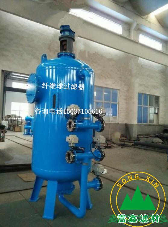 �w�S���^�V��