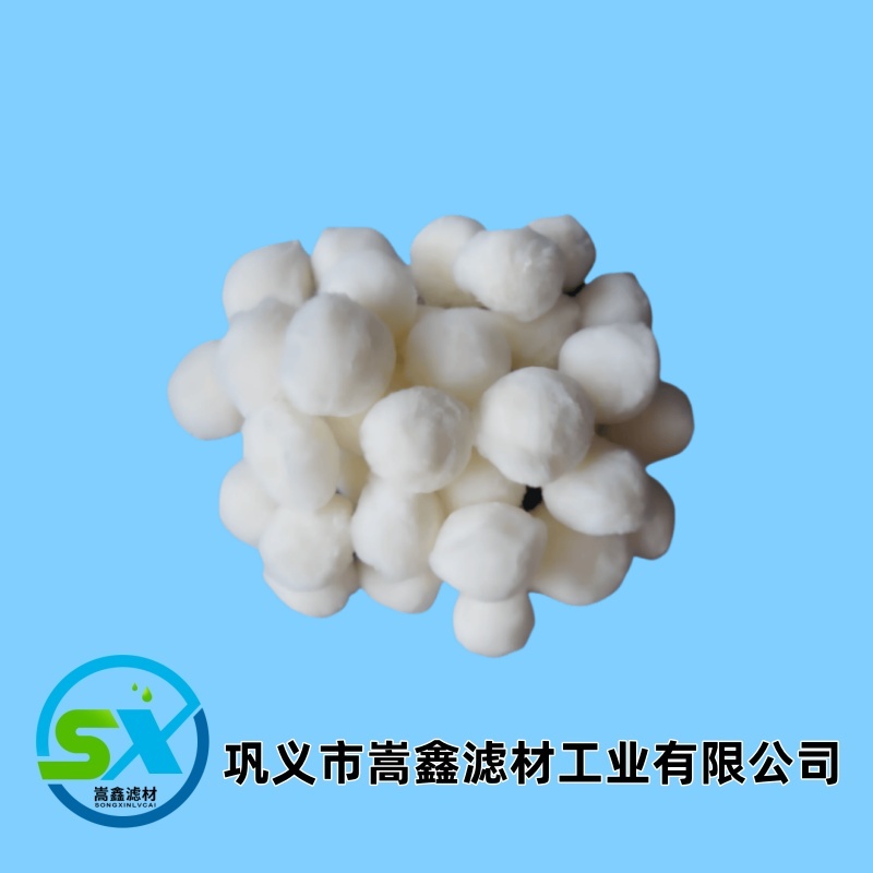 �w�S��/�V��/����