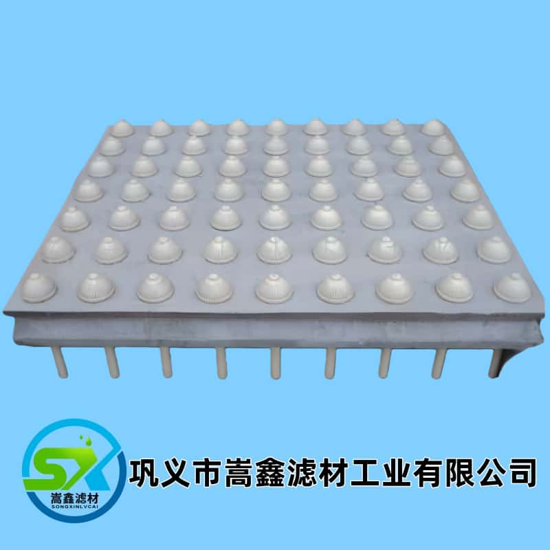 �V��/�������A�ƞV��